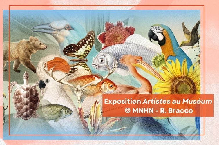 expositions sciences naturelle mnhn